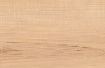 Laminat T100 LA Traubenahorn 525659 PL